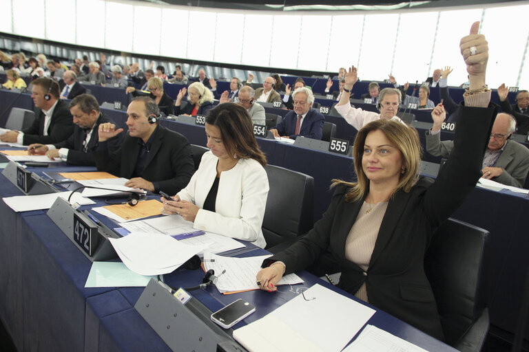 Fotó 4: Monika FLASIKOVA BENOVA during Plenary assembly in Strasbourg week 37 2013