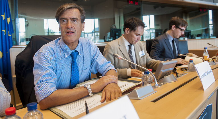 Fotografija 13: LIBE committee meeting:  Inquiry on the US National Security Agency (NSA) mass surveillance of EU citizens