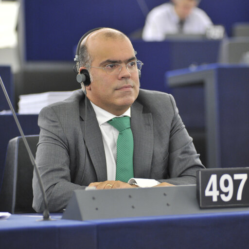 Billede 1: Diogo FEIO in plenary session in Strasbourg week 37 2013