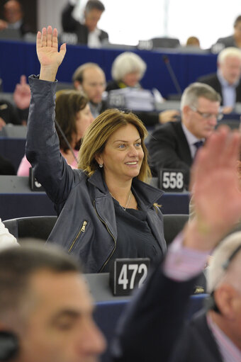 Fotó 4: Monika FLASIKOVA BENOVA in plenary Session in Strasbourg - week 37 2013