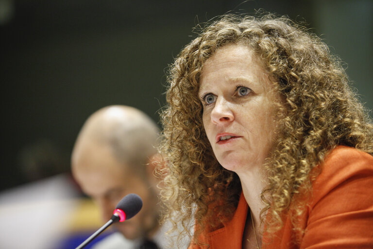 Φωτογραφία 12: LIBE - Third hearing of the LIBE Committee Inquiry on Electronic Mass Surveillance of EU Citizens