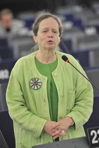 Photo 35 : Plenary Session week 27 2013 in Strasbourg - Conclusions of the European Council meeting (27-28 June 2013)