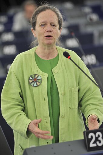 Photo 36 : Plenary Session week 27 2013 in Strasbourg - Conclusions of the European Council meeting (27-28 June 2013)