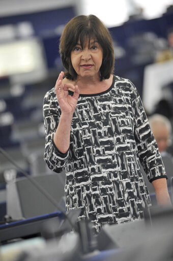 Photo 44 : Plenary Session week 27 2013 in Strasbourg - Conclusions of the European Council meeting (27-28 June 2013)