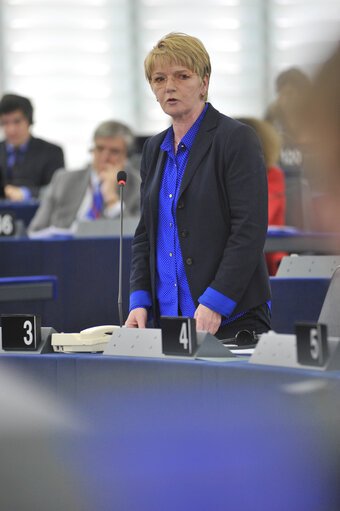 Photo 41 : Plenary Session week 27 2013 in Strasbourg - Conclusions of the European Council meeting (27-28 June 2013)