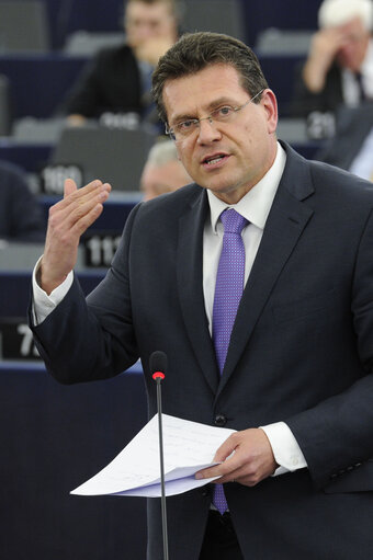 Foto 4: Plenary session in Strasbourg - Week 27 2013 - Review of the Irish Presidency, including the MFF agreement - Council and Commission statements