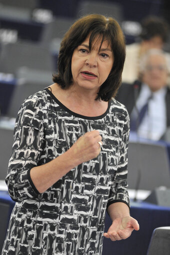 Photo 45 : Plenary Session week 27 2013 in Strasbourg - Conclusions of the European Council meeting (27-28 June 2013)