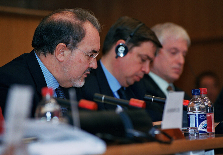 Fotografie 3: ECON Committee meeting in Brussels - Exchange of views with the Commissioner in charge of Economic and Financial Affairs