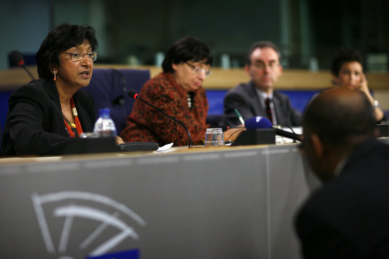 Fotografia 1: Press conference following the Joint conference of the EP, EC and UN on 60 years of the Universal Declaration of Human Rights: the defenders take the floor.