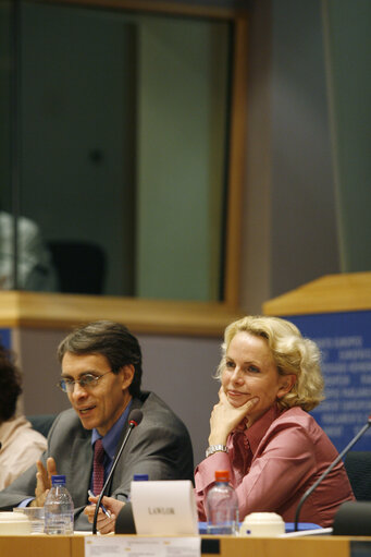 Foto 16: Joint conference of the EP, EC and UN on 60 years of the Universal Declaration of Human Rights: the defenders take the floor.