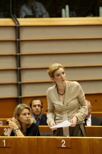 The French State Secretary for ecology in plenary session in Brussels.