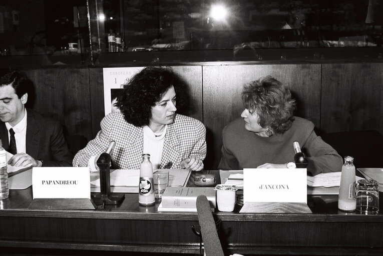 Fotografija 38: Meeting in February 1989