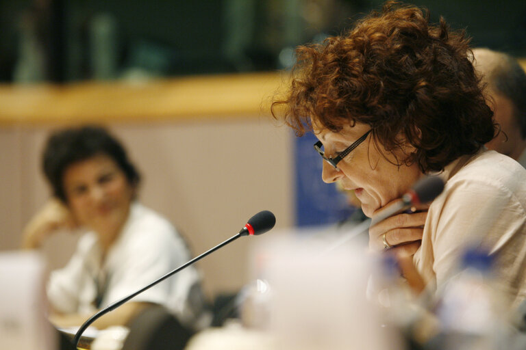 Foto 20: Joint conference of the EP, EC and UN on 60 years of the Universal Declaration of Human Rights: the defenders take the floor.