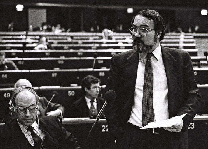 Foto 3: Plenary Session in Strasbourg: Spanish Presidency