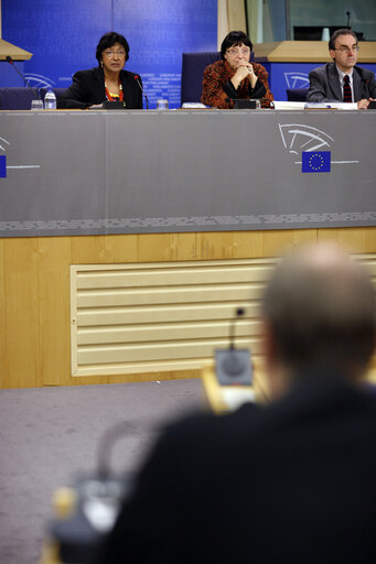 Fotografia 5: Press conference following the Joint conference of the EP, EC and UN on 60 years of the Universal Declaration of Human Rights: the defenders take the floor.