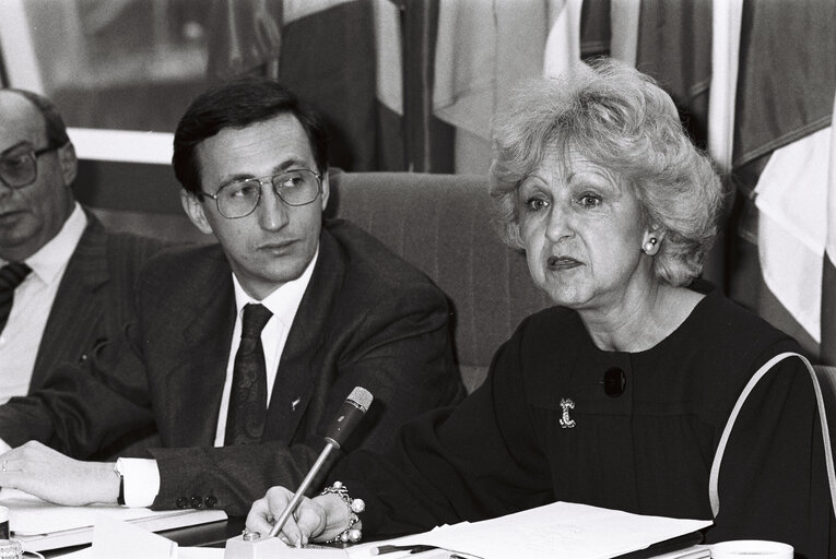 Fotografija 43: Meeting in February 1989