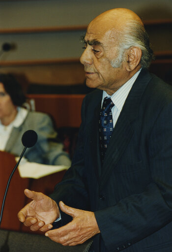 Vassilis EPHRIMIDIS speaks in plenary session in February 1984