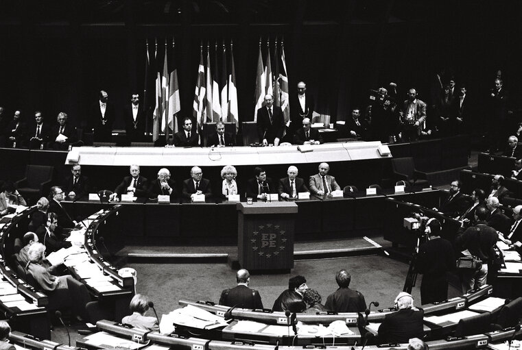 Plenary Session in Strasbourg in February 1989