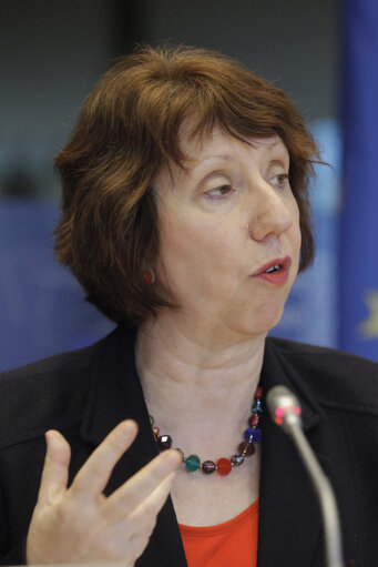 Fotografi 9: AFET/SEDE Committee meeting. Subcommittee on Security and Defence