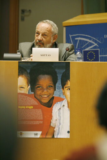 Foto 34: Joint conference of the EP, EC and UN on 60 years of the Universal Declaration of Human Rights: the defenders take the floor.