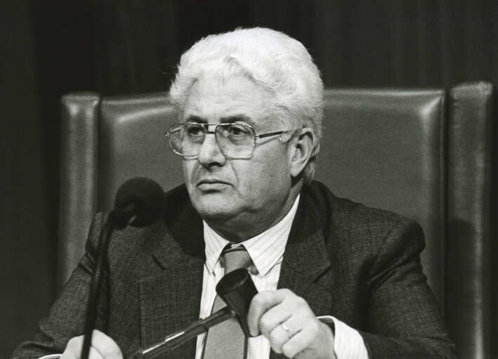 Fotó 6: Mario DIDO presiding over the plenary session in Strasbourg.