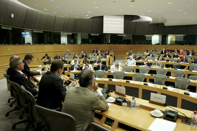 Nuotrauka 7: ALDE-Hearing on Counterfeiting.