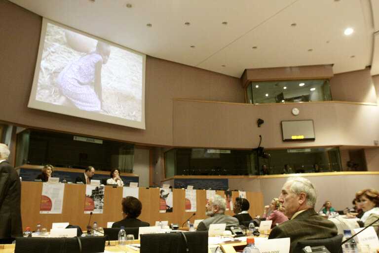 Foto 49: Joint conference of the EP, EC and UN on 60 years of the Universal Declaration of Human Rights: the defenders take the floor.