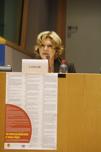 Foto 7: Joint conference of the EP, EC and UN on 60 years of the Universal Declaration of Human Rights: the defenders take the floor.