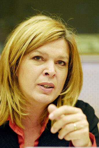 Karin RESETARITS in a meeting at the EP in Brussels.