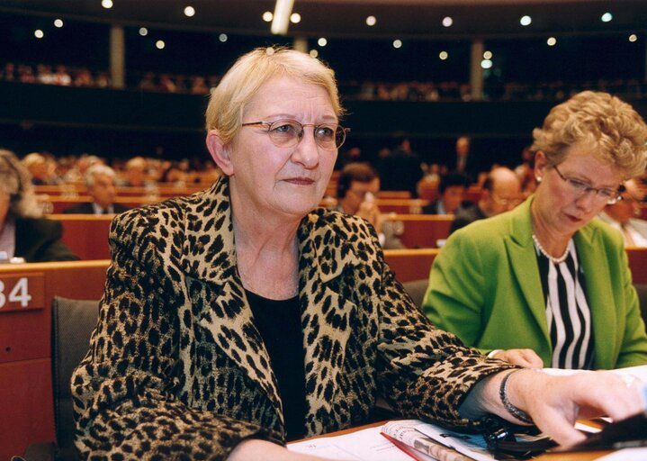 Zdjęcie 3: MEP Nelly MAES attends a plenary session in Brussels