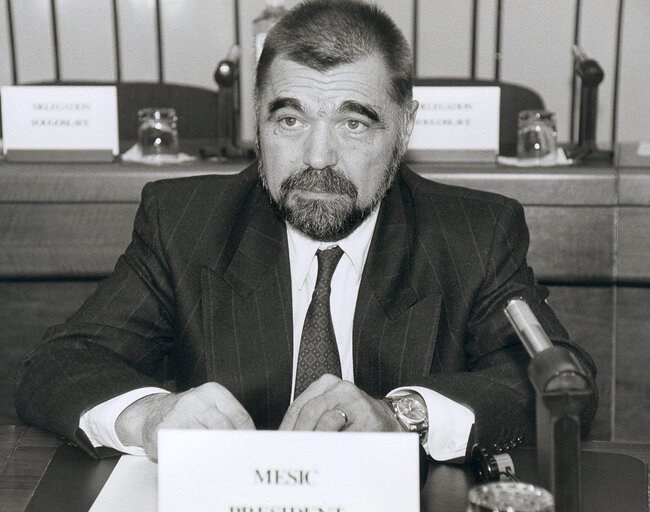 Foto 8: Stjepan (Stipe) MESIC, President of Yugoslavia visits the European Parliament in Strasbourg