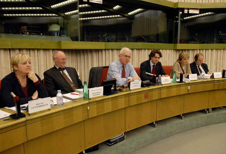 Foto 8: Meeting of the EP Working Group on the Middle East.