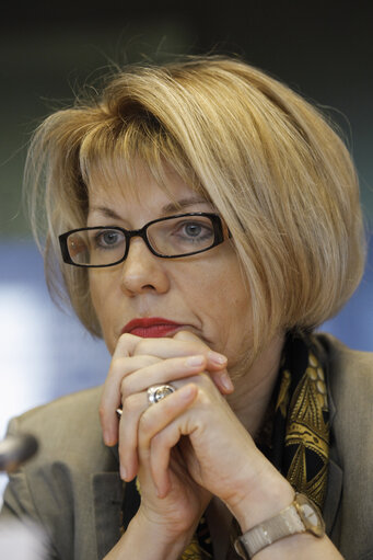 Fotografi 2: AFET/SEDE Committee meeting. Subcommittee on Security and Defence