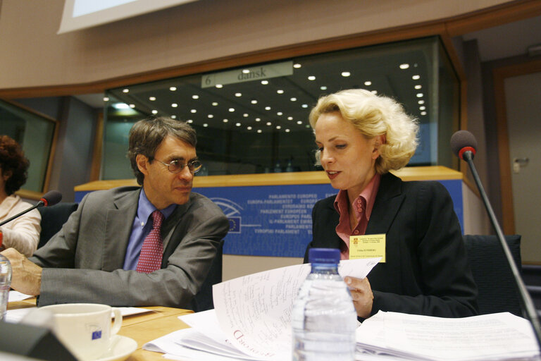 Foto 21: Joint conference of the EP, EC and UN on 60 years of the Universal Declaration of Human Rights: the defenders take the floor.