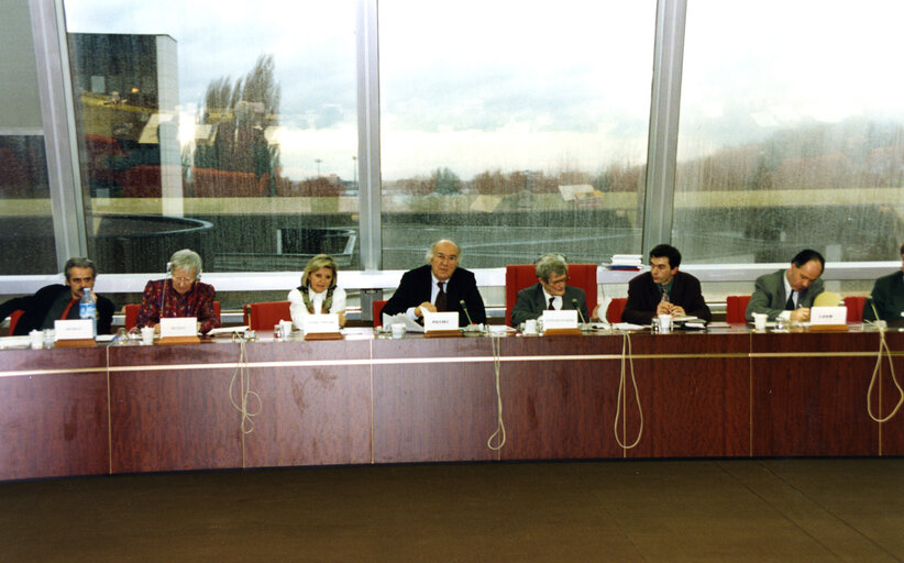 Zdjęcie 9: Actors, producers and MEps attend a meeting focusing on cinema in the EU in Strasbourg