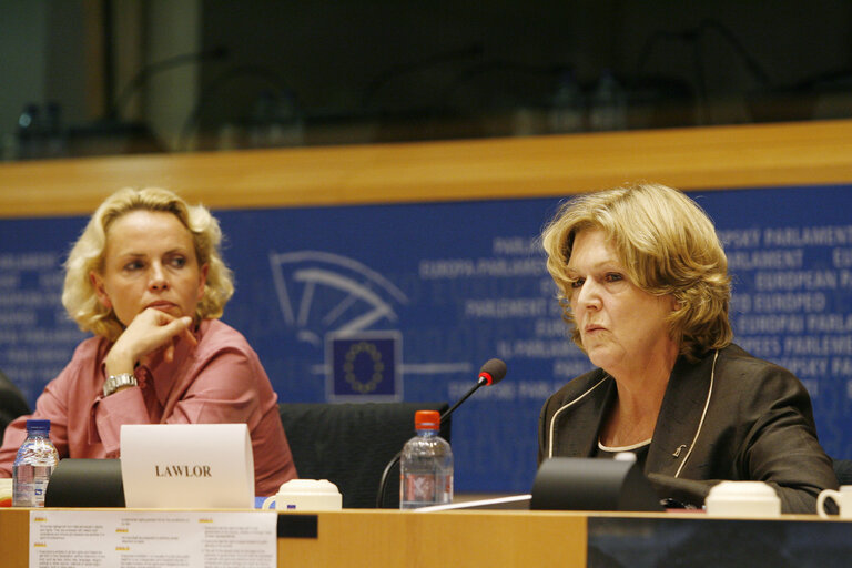 Foto 4: Joint conference of the EP, EC and UN on 60 years of the Universal Declaration of Human Rights: the defenders take the floor.