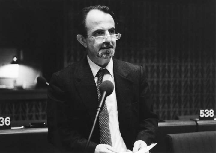 Снимка 2: Georgios SARIDAKIS in Plenary Session in Strasbourg.