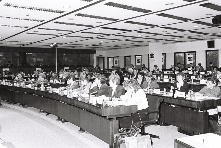 Suriet 14: Meeting in February 1989