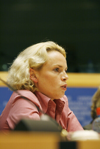 Foto 10: Joint conference of the EP, EC and UN on 60 years of the Universal Declaration of Human Rights: the defenders take the floor.