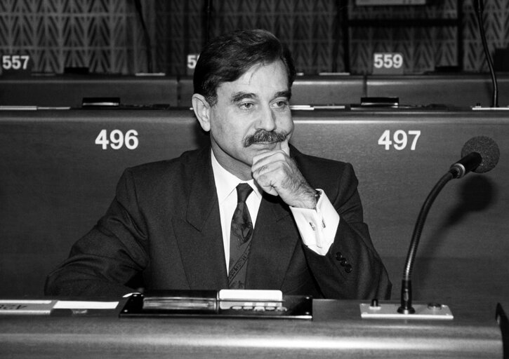 Foto 2: Leopoldo ORTIZ CLIMENT in plenary session in Strasbourg.