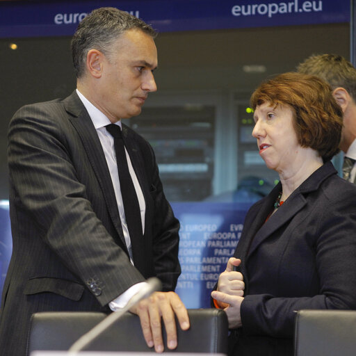 Fotografi 14: AFET/SEDE Committee meeting. Subcommittee on Security and Defence