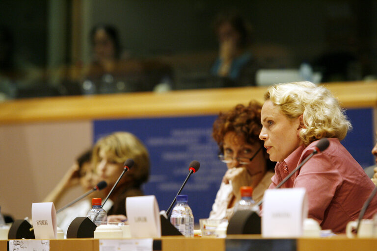 Foto 9: Joint conference of the EP, EC and UN on 60 years of the Universal Declaration of Human Rights: the defenders take the floor.