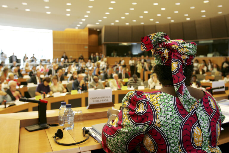 Fotografie 20: DEVE Committee special meeting on the world food crisis, with the Executive Director of the World Food Programme and the UN Food Agriculture Organisation Director.