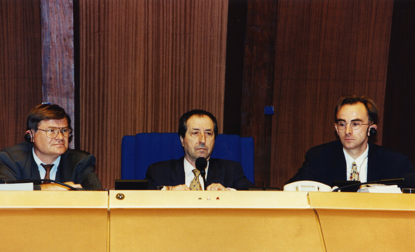 Zdjęcie 35: Josep VERDE I ALDEA in plenary session in Strasbourg.