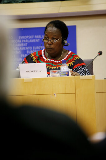 Zdjęcie 3: Extraordinary meeting in the framwork of Africa Week at the EP in Brussels. Panel on intercultural dialogue with the Nobel Prize for Literature, the AU Commissioner for Social Affairs, in charge of culture and the President of the Pan-African Parliament.