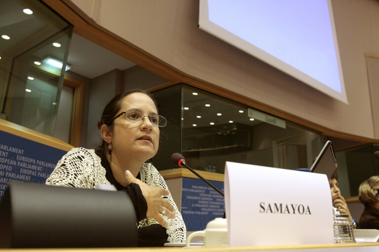 Foto 5: Joint conference of the EP, EC and UN on 60 years of the Universal Declaration of Human Rights: the defenders take the floor.