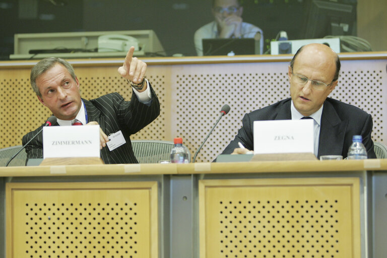 Nuotrauka 3: ALDE-Hearing on Counterfeiting.