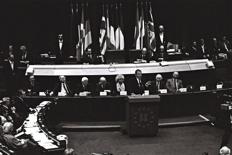 Plenary Session in Strasbourg in February 1989