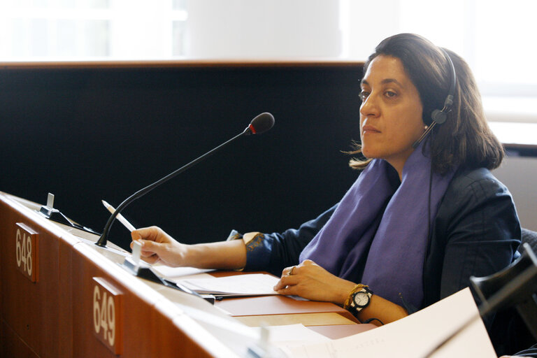 Fotografie 3: MEP Catiuscia MARINI in plenary session in Brussels.