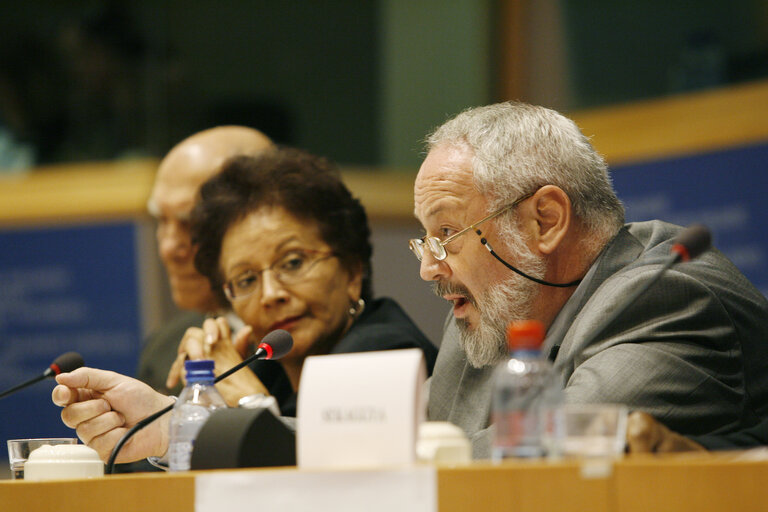 Foto 25: Joint conference of the EP, EC and UN on 60 years of the Universal Declaration of Human Rights: the defenders take the floor.